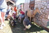 Bas-en-Basset : une ferme pédagogique en animation à la crèche