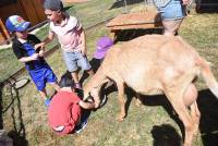 Bas-en-Basset : une ferme pédagogique en animation à la crèche