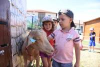 Bas-en-Basset : une ferme pédagogique en animation à la crèche