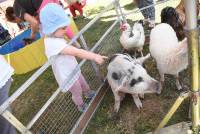 Bas-en-Basset : une ferme pédagogique en animation à la crèche