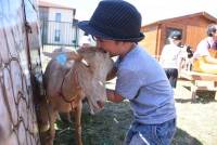 Bas-en-Basset : une ferme pédagogique en animation à la crèche