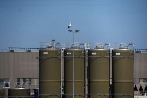 Des cigognes perchées sur la zone industrielle de Monistrol-sur-Loire