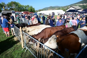 Un mini-Salon de l&#039;agriculture ce dimanche à Saint-Julien-du-Pinet