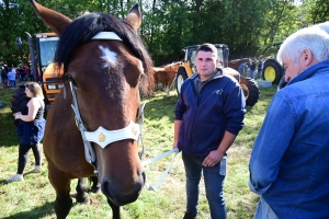 Un mini-Salon de l&#039;agriculture ce dimanche à Saint-Julien-du-Pinet