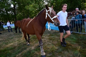 Un mini-Salon de l&#039;agriculture ce dimanche à Saint-Julien-du-Pinet