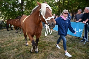 Un mini-Salon de l&#039;agriculture ce dimanche à Saint-Julien-du-Pinet