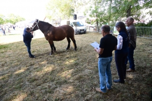 Un mini-Salon de l&#039;agriculture ce dimanche à Saint-Julien-du-Pinet