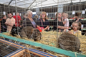 Un mini-Salon de l&#039;agriculture ce dimanche à Saint-Julien-du-Pinet