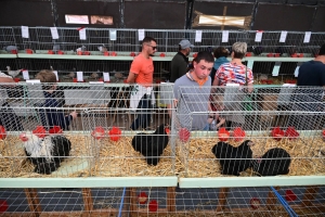 Un mini-Salon de l&#039;agriculture ce dimanche à Saint-Julien-du-Pinet