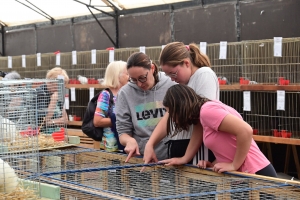 Un mini-Salon de l&#039;agriculture ce dimanche à Saint-Julien-du-Pinet