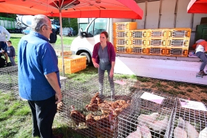 Un mini-Salon de l&#039;agriculture ce dimanche à Saint-Julien-du-Pinet