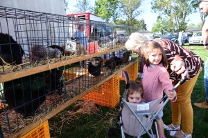 Un mini-Salon de l&#039;agriculture ce dimanche à Saint-Julien-du-Pinet