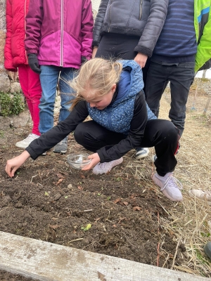 Printemps rime avec jardinage à l’école de Grazac