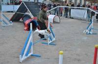 Démonstration d&#039;agility par le club canin.