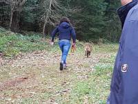 Une démonstration de chien de sauvetage à Yssingeaux.