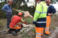 Monistrol-sur-Loire : les derniers arbres de l&#039;ancien camping tombent