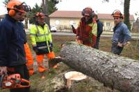 Monistrol-sur-Loire : les derniers arbres de l&#039;ancien camping tombent