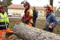 Monistrol-sur-Loire : les derniers arbres de l&#039;ancien camping tombent