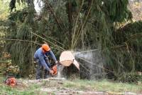 Monistrol-sur-Loire : les derniers arbres de l&#039;ancien camping tombent