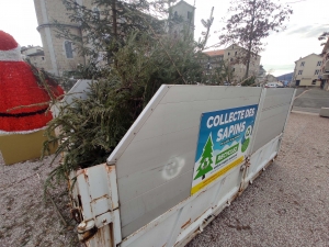 Yssingeaux : deux événements annulés, la collecte des sapins continue