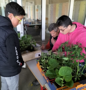 Sainte-Sigolène : ils ont vendu des fleurs et plants de légumes au profit de l&#039;UNICEF