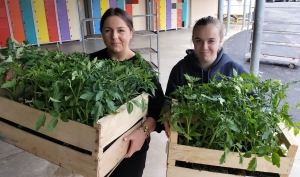 Sainte-Sigolène : ils ont vendu des fleurs et plants de légumes au profit de l&#039;UNICEF