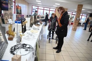 Sainte-Sigolène : l&#039;exposition artistique en photos