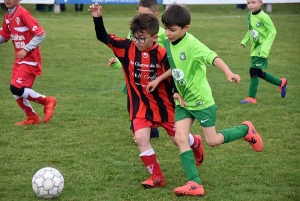 Monistrol-sur-Loire : 250 jeunes footballeurs à la première journée du tournoi