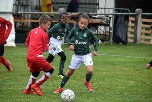 Monistrol-sur-Loire : 250 jeunes footballeurs à la première journée du tournoi