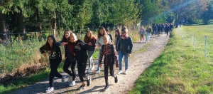 Sainte-Sigolène : journée sportive au collège