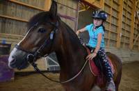 La Nuit du cheval et du poney le jeudi 20 juillet au centre équestre