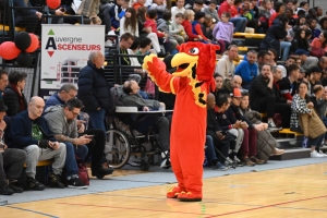 Handibasket : les Aigles du Velay surclassent Meylan Grenoble en ouverture de l&#039;Eurocup 2