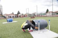 La participation de l&#039;ACS Monistrol au Kids Athlé de Montbrison à retrouver en photos