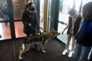 Monistrol-sur-Loire : le chien loup du film &quot;Mystère&quot; à l&#039;écran... et dans la salle