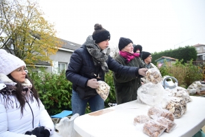 Les visiteurs pousssent comme des champignons à Saint-Bonnet-le-Froid (vidéo)