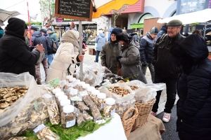 Les visiteurs pousssent comme des champignons à Saint-Bonnet-le-Froid (vidéo)