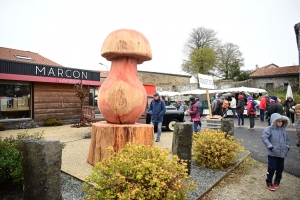 Les visiteurs pousssent comme des champignons à Saint-Bonnet-le-Froid (vidéo)