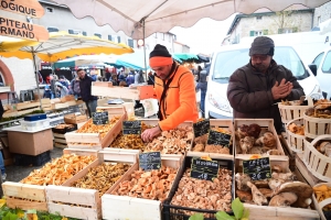 Les visiteurs pousssent comme des champignons à Saint-Bonnet-le-Froid (vidéo)