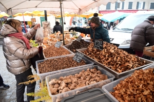 Les visiteurs pousssent comme des champignons à Saint-Bonnet-le-Froid (vidéo)