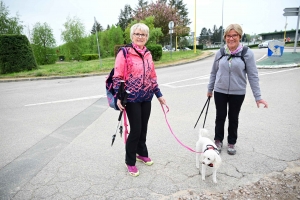 Bas-en-Basset : la rando de Grignotte Collines a attiré près de 600 marcheurs