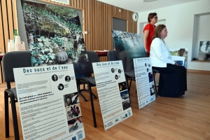 &quot;Des sucs et de l&#039;eau&quot;, une double exposition à voir à Yssingeaux et Lapte