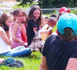 Yssingeaux : les enfants au plus près des rapaces