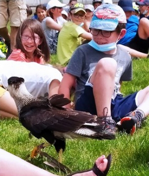 Yssingeaux : les enfants au plus près des rapaces