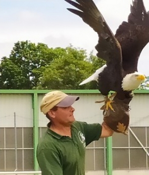 Yssingeaux : les enfants au plus près des rapaces