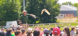 Yssingeaux : les enfants au plus près des rapaces