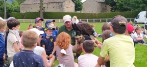 Yssingeaux : les enfants au plus près des rapaces