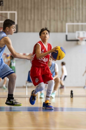 Basket : trois titres pour Monistrol/Sainte-Sigolène aux Masters de Ligue