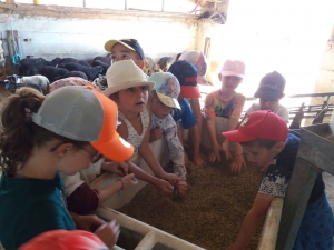 Les Villettes : ferme, jardin et sport pour refermer l&#039;année à l&#039;école de &quot;Trevas&quot;