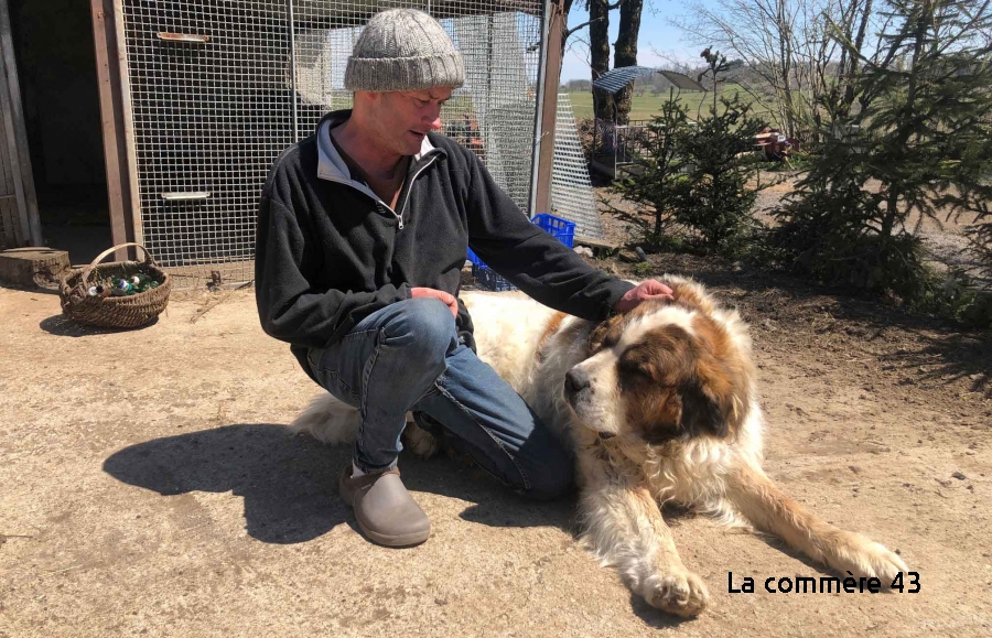 Une Mysterieuse Intoxication De Plusieurs Chiens Dans Un Hameau Des Vastres La Commere 43