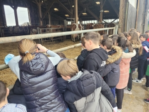 Bas-en-Basset : les écoliers dde Louise-Michel visitent la ferme des Doux Sons